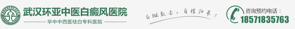 武汉环亚白癜风logo